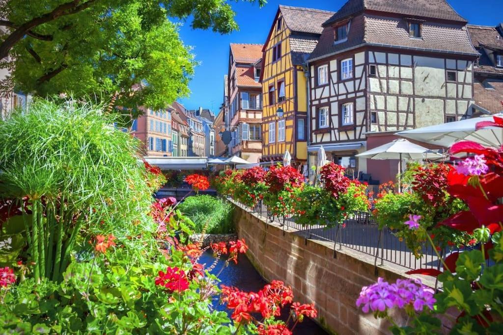 Mulhouse En Douceur, Hypercentre De Mulhouse Apartment Ngoại thất bức ảnh